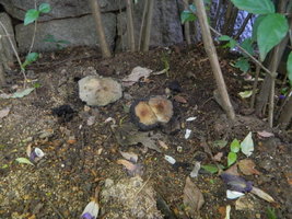 DSCN1864.JPG