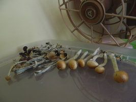 DSCN1649.JPG
