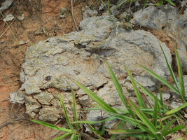 DSCN0106.JPG