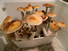 DSCN1627.JPG