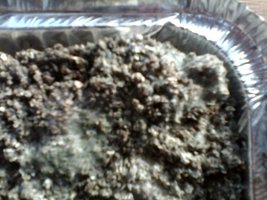 IMG10112.jpg