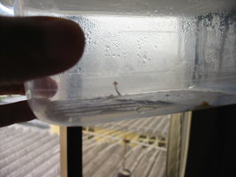 884911790-IMG_0881.jpg