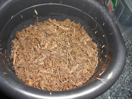 DSCN0299.JPG