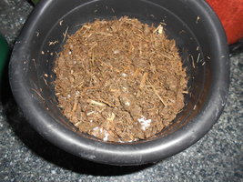 DSCN2070 (2).JPG