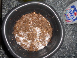 DSCN2098.JPG