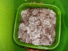 DSCN2097.JPG