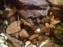 foto0652p.jpg