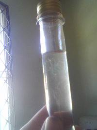 foto0698.jpg