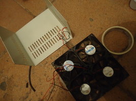 dsc02047zx.jpg