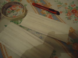 dsc02058sf.jpg