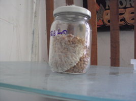 DSC01028.JPG