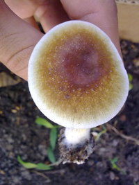 29072011396.jpg