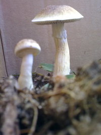 29072011380.jpg