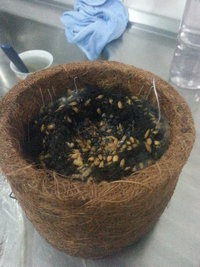 20140131_220429.jpg