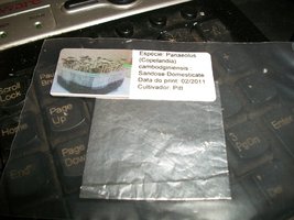 100_6226.JPG