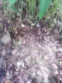 20140202_150957.jpg