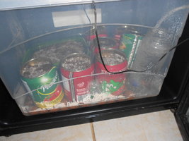 DSCN2299.JPG