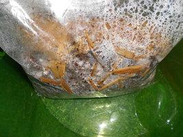 DSCN2301.JPG