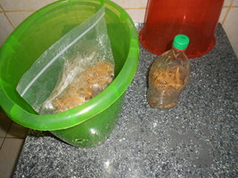 DSCN2306.JPG