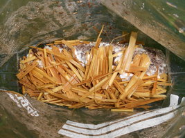 DSCN2307.JPG