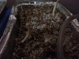20140207_170316.jpg