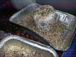 20140207_170302.jpg