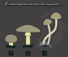 cogumelos.jpg