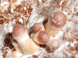 RSCN2326.JPG