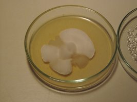 p1010005resizedgm5.jpg