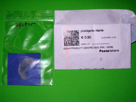 planta0063sq.jpg