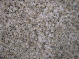 img1945l.jpg