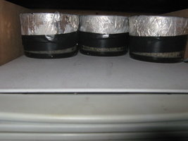 dsd003.jpg