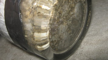 capao006.jpg