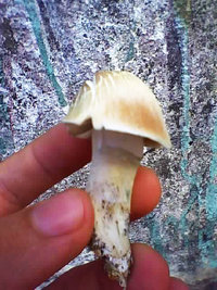 2011080711xx8.jpg