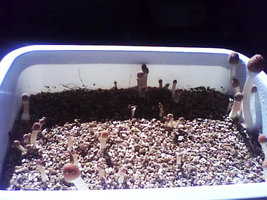 2011080702kh9.jpg
