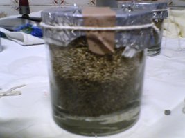 foto017rw0.jpg