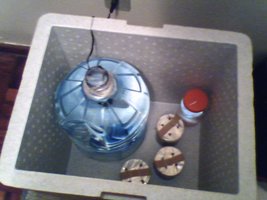 foto028sd5.jpg