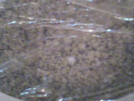 foto006dn6.jpg