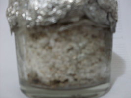 sdc14863.jpg