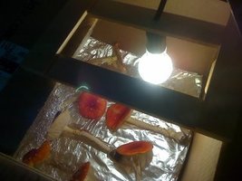 2206091612.jpg