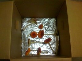 2206091607.jpg
