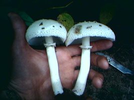 1101071409cn5.jpg