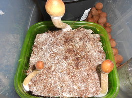 DSCN2359.JPG
