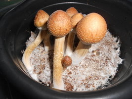 DSCN2370.JPG