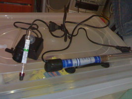 05082008732sp4.jpg