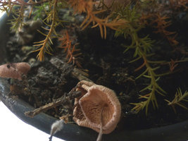 p1030327e.jpg