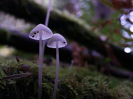 34690207863e2ec3048fe8.jpg