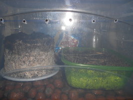 DSCN2380.JPG