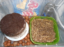 DSCN2379.JPG