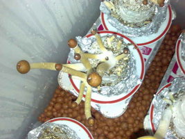 022982328-3.jpg